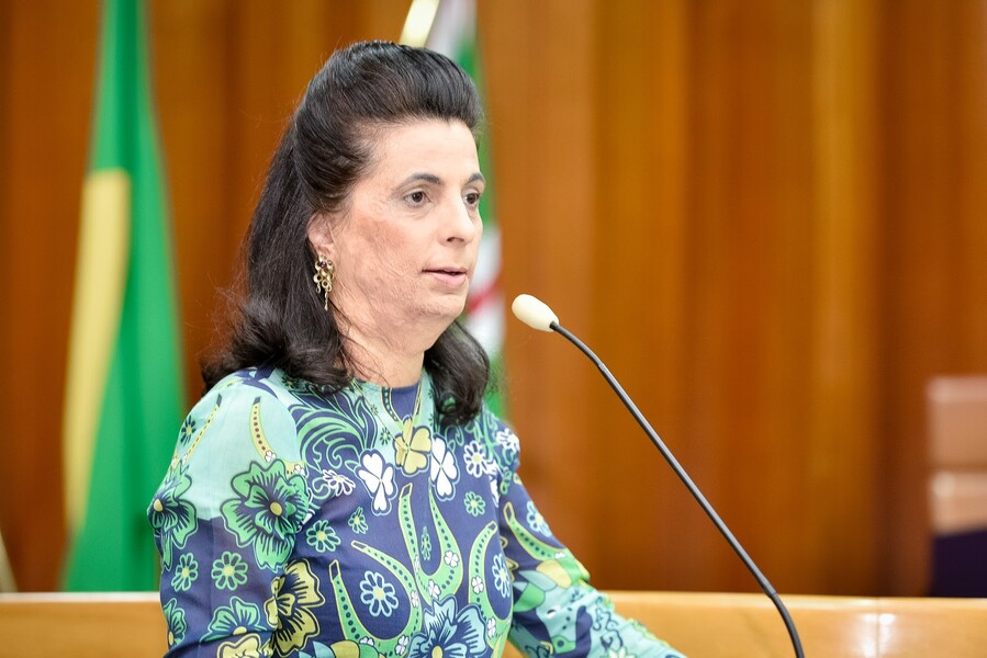 sessao-solene-camara-municipal-de-goiania