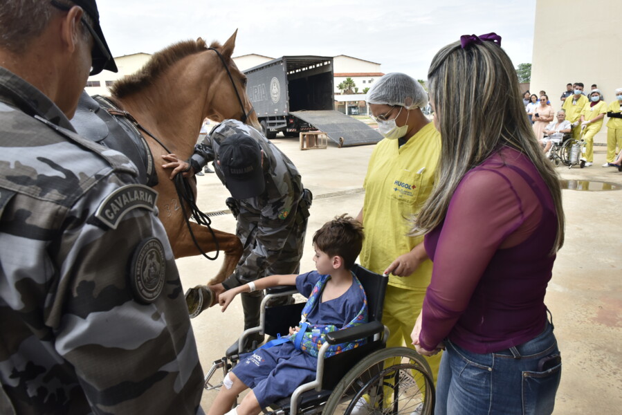 hugol-realiza-terapia-assistida-por-animais-com-a-visita-da-cavalaria-da-pm-go