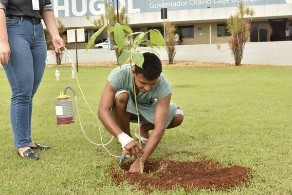 hugol-realiza-plantio-de-mudas-doadas-pela-emater-e-ufg