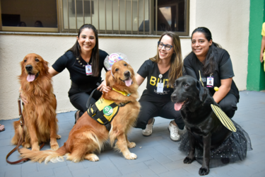 pacientes-do-hugol-recebem-visita-de-caes-terapeuticos-do-instituto-curaa