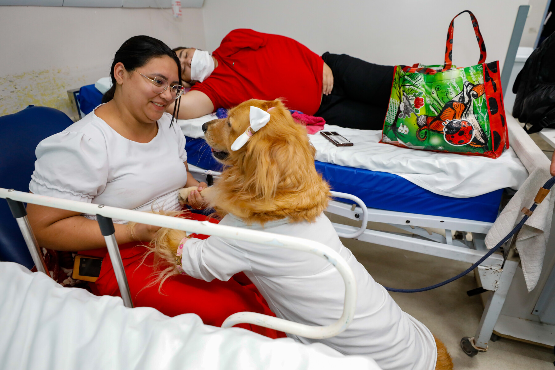 manaus-230525---ses--terapia-assistida-animais_54540583951_o.jpg
