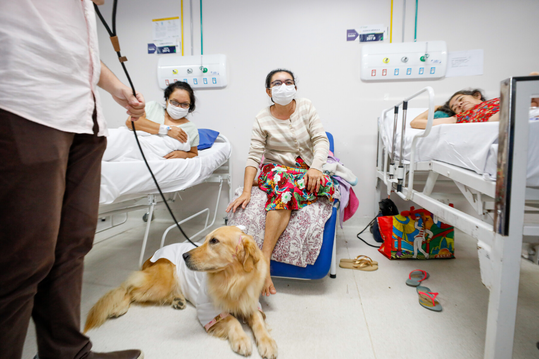 manaus-230525---ses--terapia-assistida-animais_54540926340_o.jpg