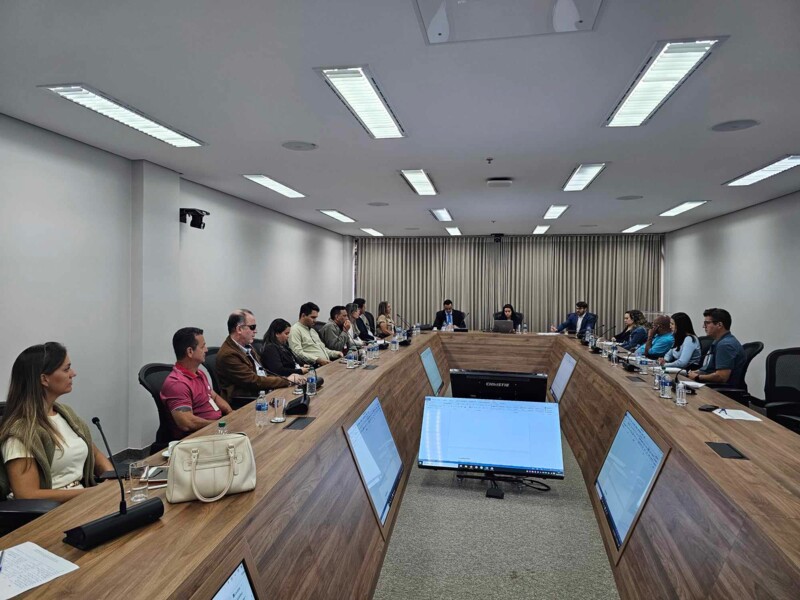 rede-teia-fortalece-atuacao-em-defesa-dos-direitos-da-pessoa-com-deficiencia-em-reunioes-estrategicas-no-estado-de-goias