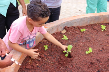 hds-promove-edicao-do-projeto-luz-da-idade-com-plantio-no-jardim-sensorial-dos-sinos