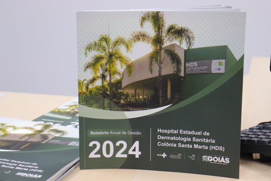 hds-apresenta-relatorio-anual-de-atividades-2024