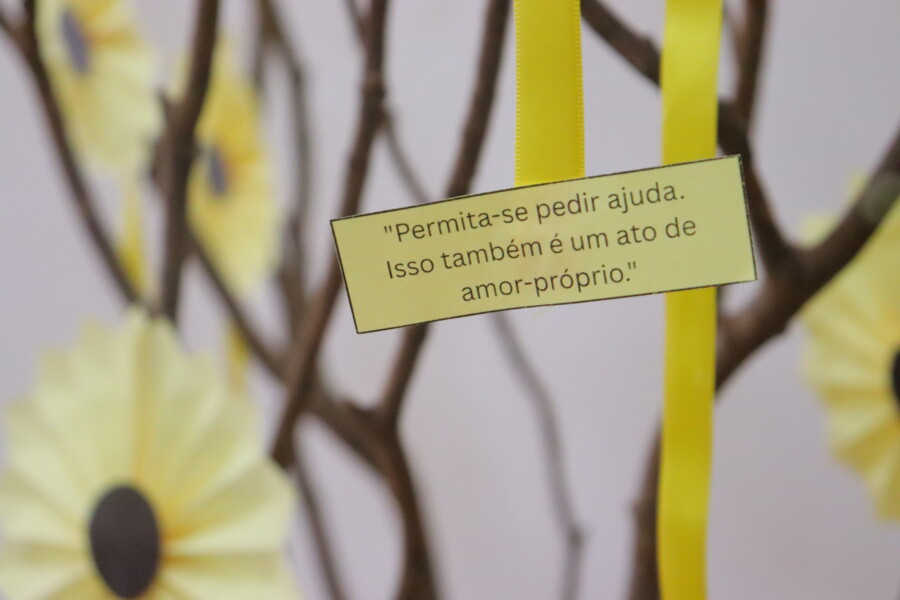uniao-e-autocuidado-sao-destaques-em-palestra-do-hds-no-setembro-amarelo