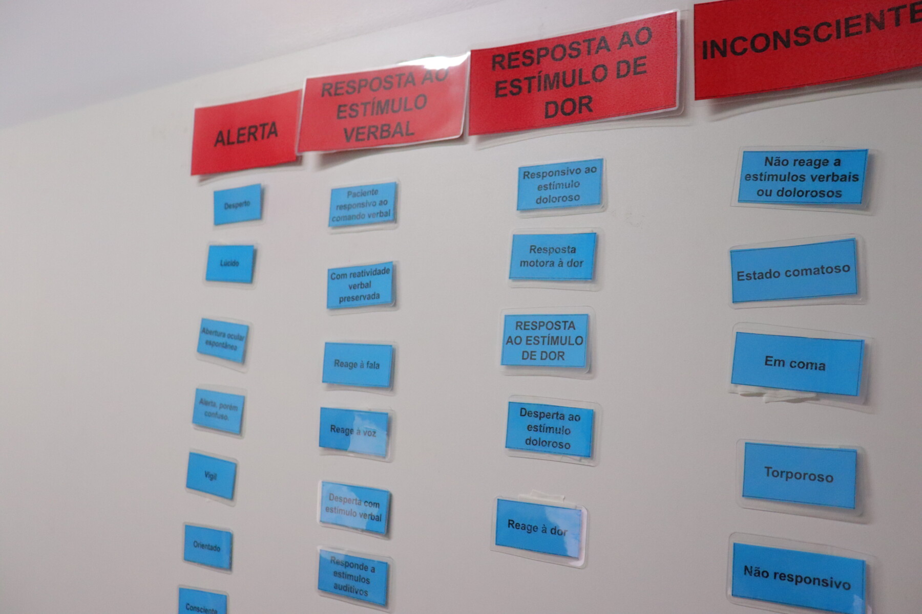 hds-reforca-seguranca-do-paciente-com-treinamento-sobre-escala-news