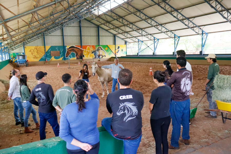 crer-promove-curso-de-equideocultura-e-manejo-de-cavalos-para-equipe-da-equoterapia