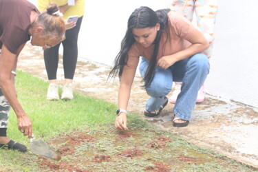 maes-e-acompanhantes-de-pacientes-do-hecad-plantam-girassois-em-edicao-especial-do-projeto-escuta-e-afeto