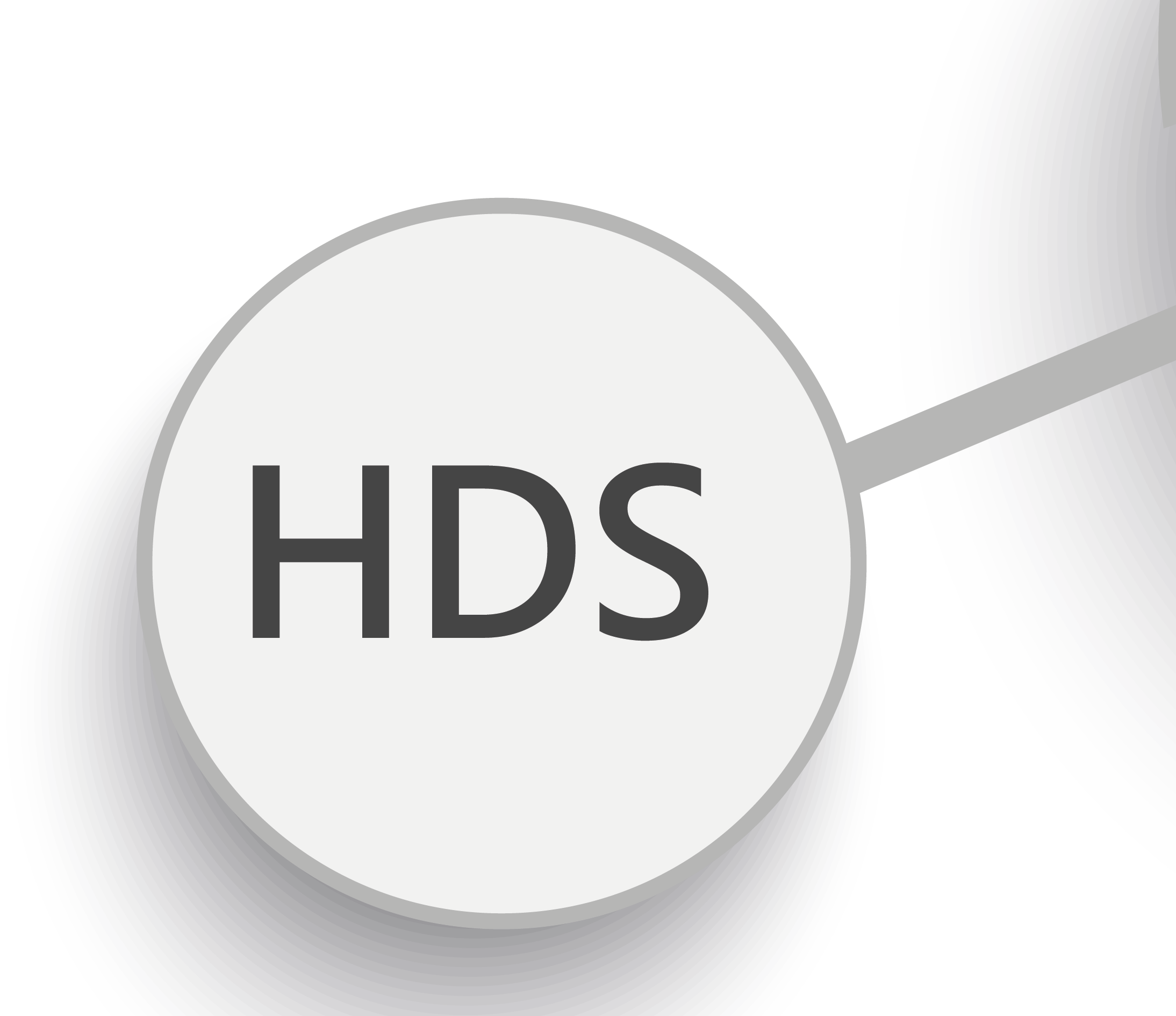 HDS