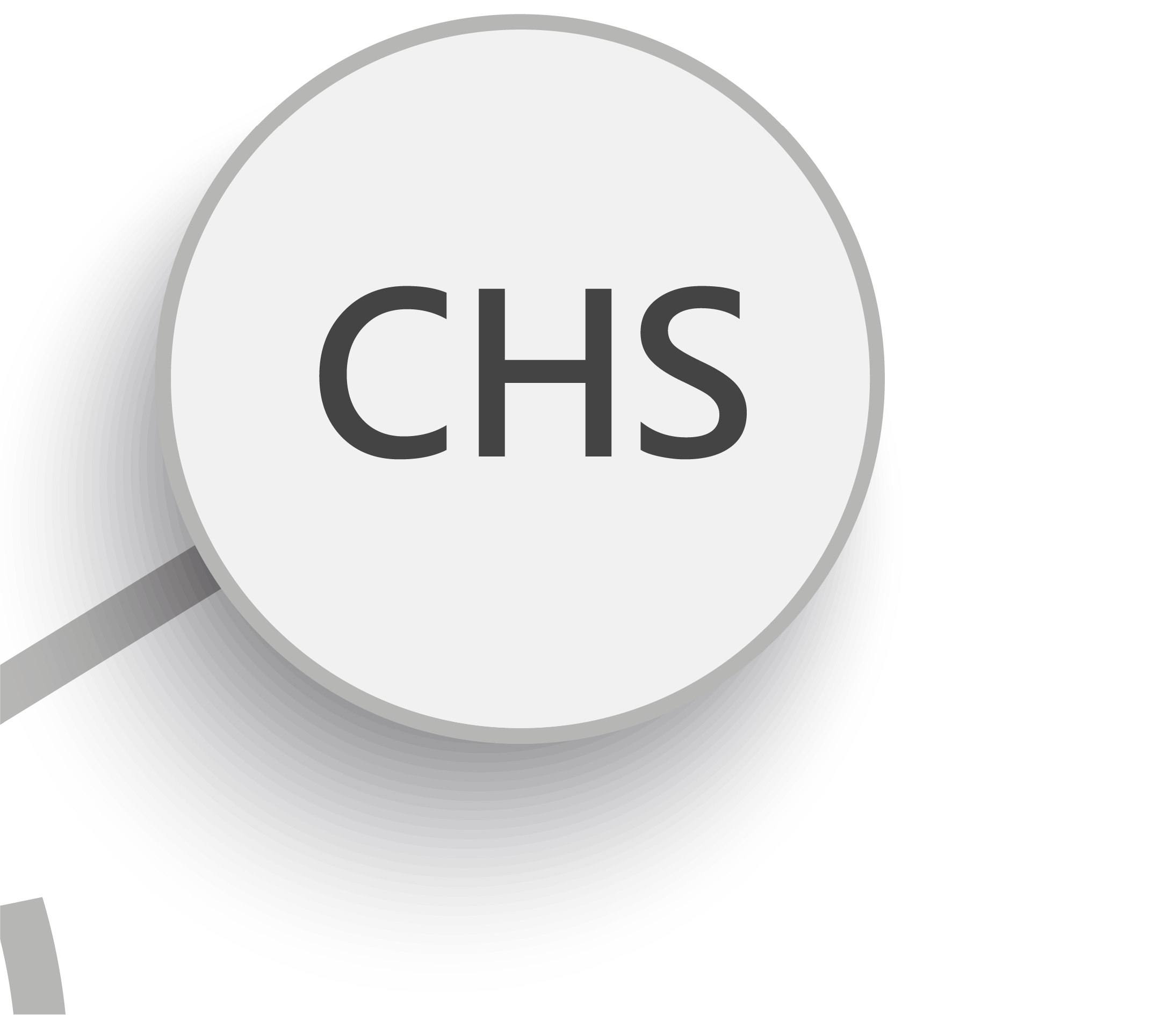 CHS